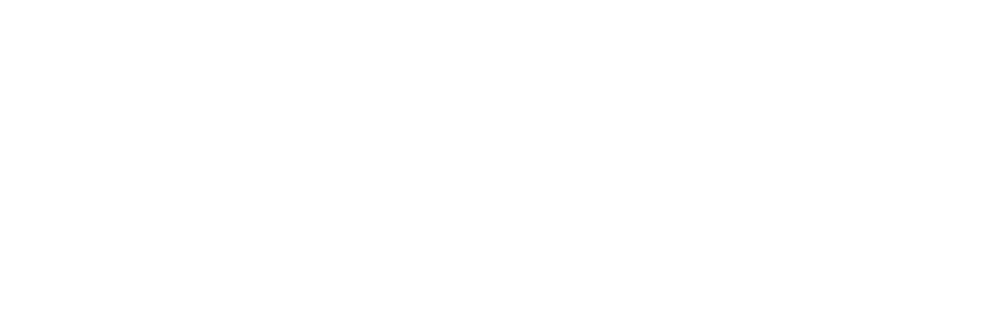 Coca Cola Logo