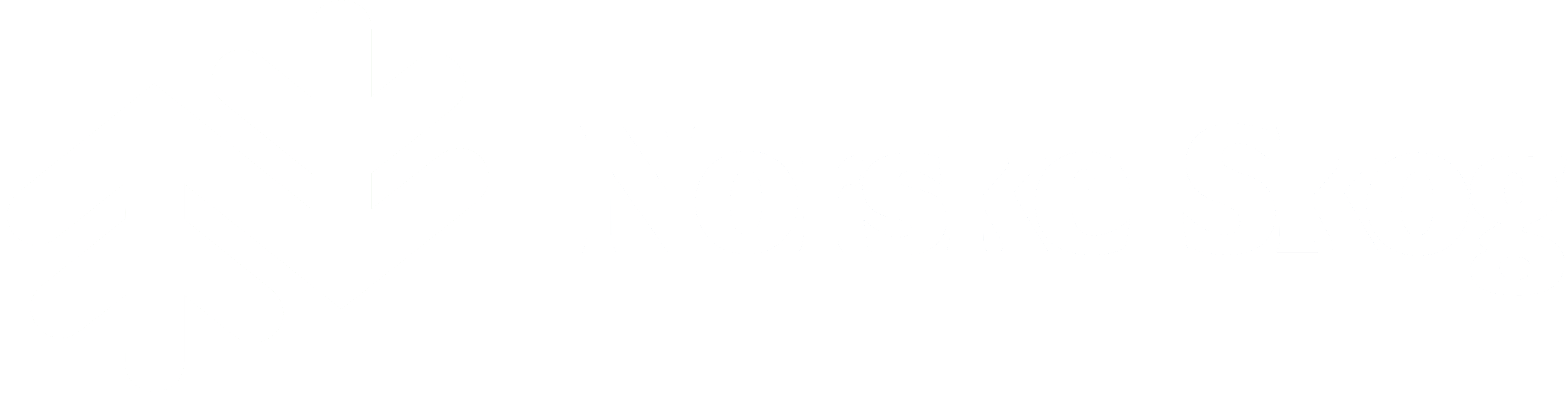 Norske Skog Logo